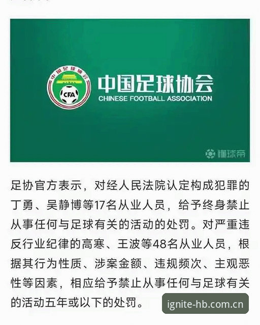 中国足协第三批禁足名单深度解析：从行业乱象看体育精神重建